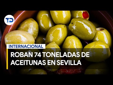 Roban 74 toneladas de aceitunas en Sevilla, Espan?a; 12 personas fueron detenidas