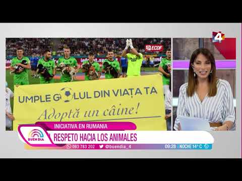 Buen Día - Adopción de perros: En Rumania se presentará en los partidos de fútbol