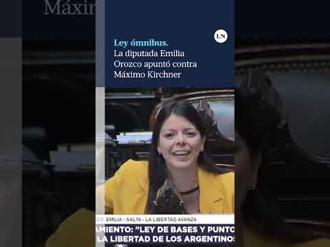 La diputada Emilia Orozco fue muy duro contra Máximo Kirchner en el Congreso