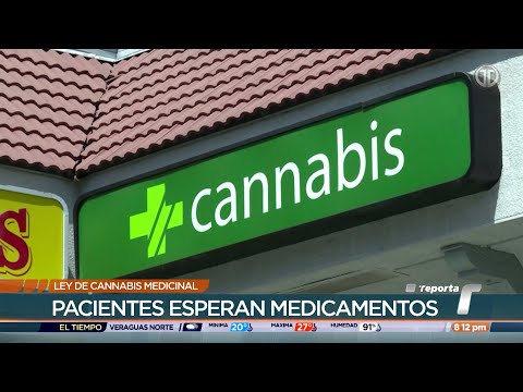 Pacientes aún no tienen acceso al cannabis medicinal