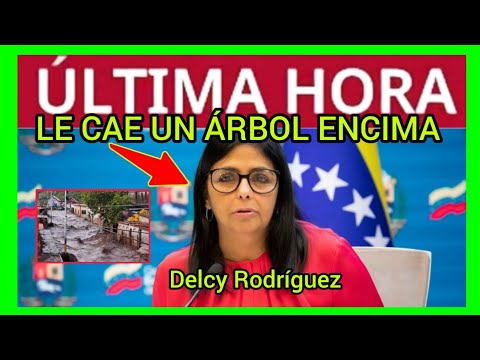 #ÚLTIMAHORA - Delcy Rodríguez - LE CAE UN ÁRBOL ENCIMA