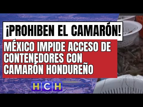 México impide acceso de contenedores con camarón hondureño