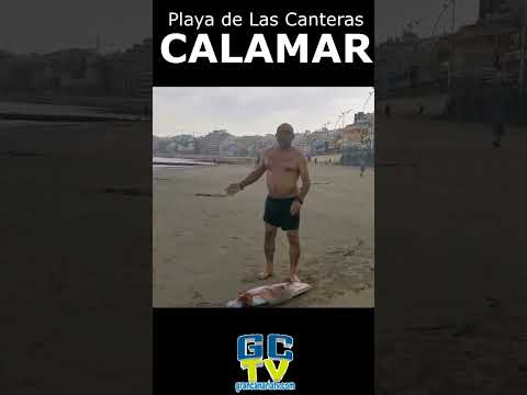 CALAMAR GRANDE pescado con sus propias manos en la playa de Las Canteras, Las Palmas de Gran Canaria