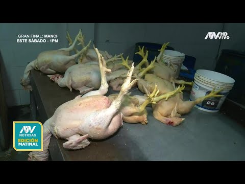 Chorrillos: Incautan pollos inflados y sucios que eran repartidos a diversos mercados