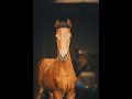 حصان الفروسية Elite Premium Foal Old. - incredibly eye-catching filly