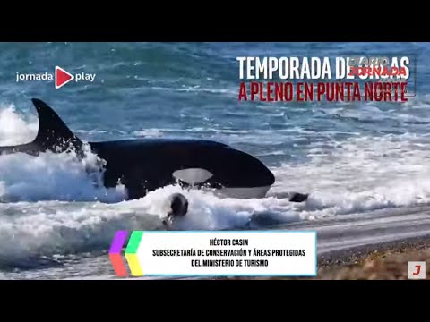 EN VIVO| Héctor Casin, Subsecretaría de Conservación y Áreas Protegidas-Ministerio de Turismo Chubut