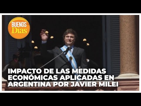 Impacto de las medidas económicas aplicadas en Argentina por Javier Milei - Elena Rodríguez