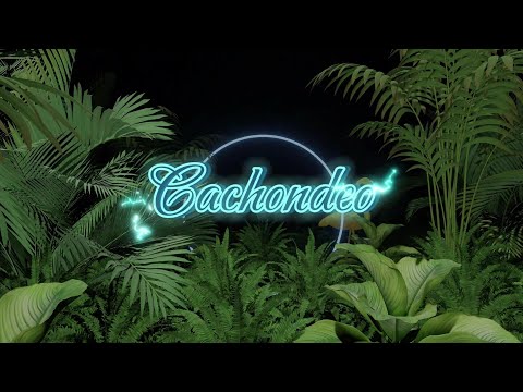 Cachondeo (Remix) - La Reina del Flow 2  Canción oficial - Letra | Caracol TV