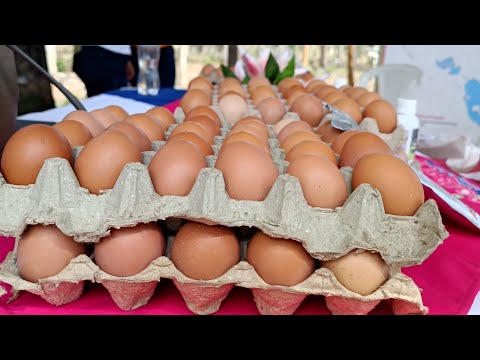 Mefcca entrega granja de gallinas ponedoras a protagonistas de Nueva Segovia