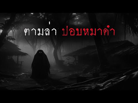 ตามล่าปอบหมาดำ|หลอน24ชั่วโ