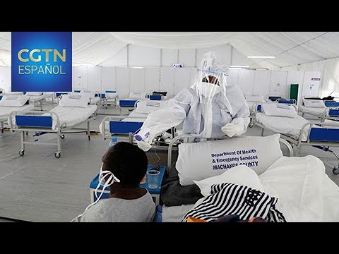 Representantes de África y la ONU debaten medidas contra la enfermedad en el continente
