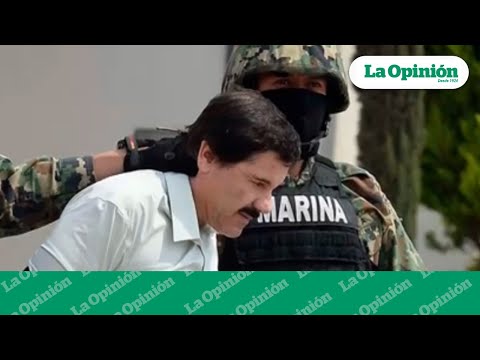 EE.UU. va tras Los Chapitos: Pedirá la extradición de los otros hijos del Chapo | La Opinión