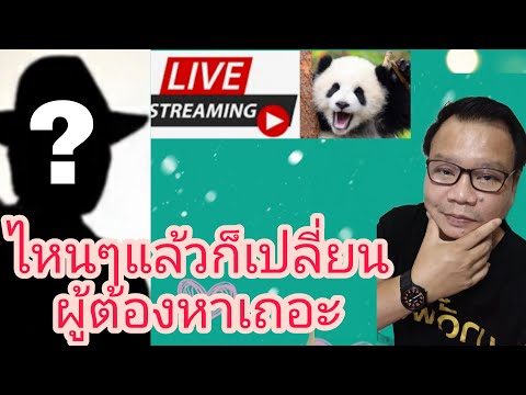 คิดวิเคราะห์...ไหนๆก็ชะลอ-เปลี คิดวิเคราะห์...ไหนๆก็ชะลอ-เปลี