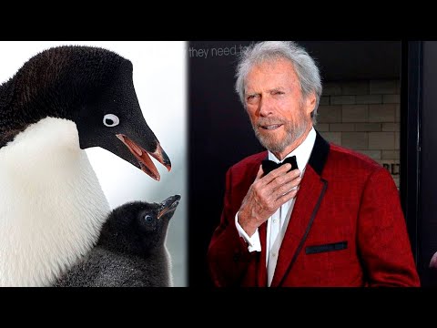 SOBREMESA LUNES 15/4/24: Clint Eastwood a lo Mirtha Legrand y polémica por pingüinos muertos