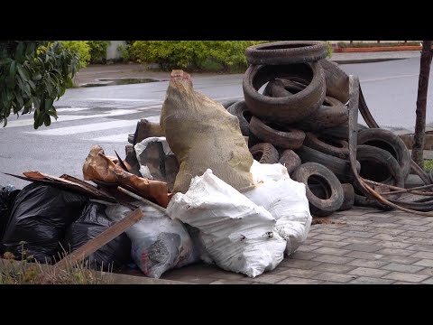 Extraen siete toneladas de basura del embalse Peñol-Guatapé - Teleantioquia Noticias