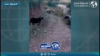 يا من شرى من حلاله عله