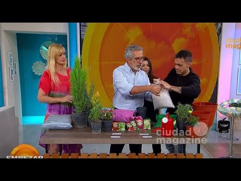 Juan Miceli nos enseña a sembrar lavanda y otras plantas en vivo