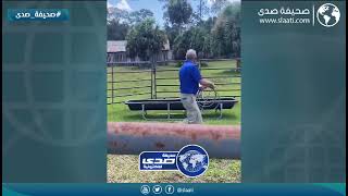 راحت على الشايب