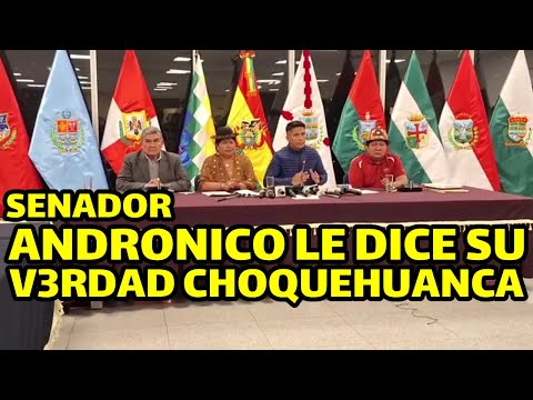 SENADOR ANDRONICO EL RESPONSABLE DE LAS ELECCIONES JUDICIALES ES DAVID CHOQUEHUANCA..