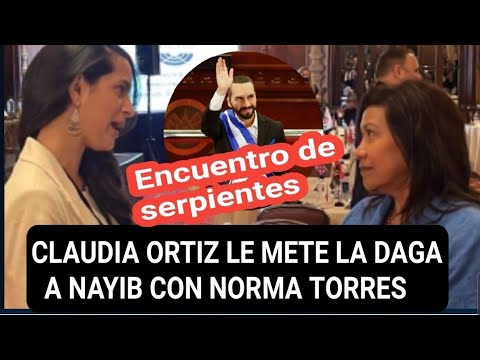 CLAUDIA ORTIZ SE REUNE CON NORMA TORRES PARA PONER EN MAL NAYIB Y SEGUIR METIENDO LA DAGA!