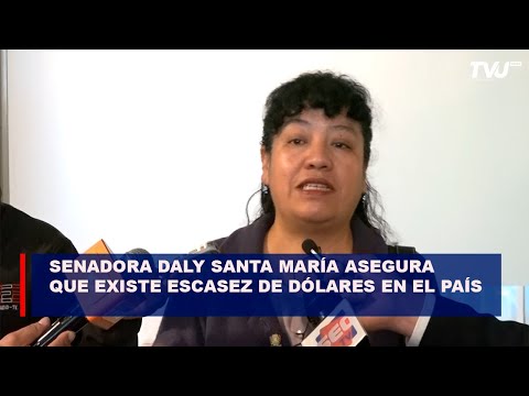 Senadora Daly Santa María asegura que existe escasez de dólares en el país