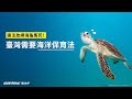 違法放網海龜冤死！只罰三萬還找不到人？臺灣需要海洋保育法