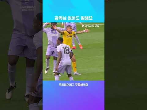 감독 퇴장에 바로 분풀이하는 울버햄튼 l 프리미어리그 I 울버햄튼 vs 브라이튼