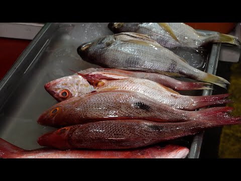 Precios de mariscos y pescados estables en mercados