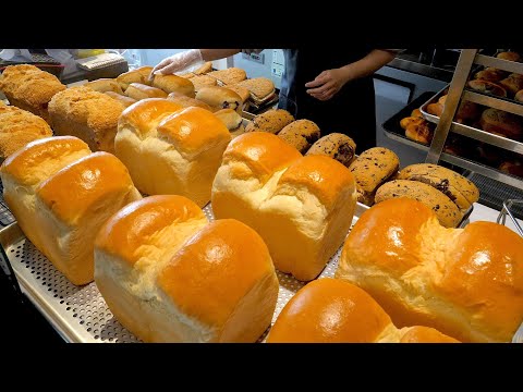 엄마들이 선택한 식빵?! 아이들이 건강하게 먹는 6가지 유기농 식빵 / Amazing 6 Kinds of Organic Bread - Korean street food