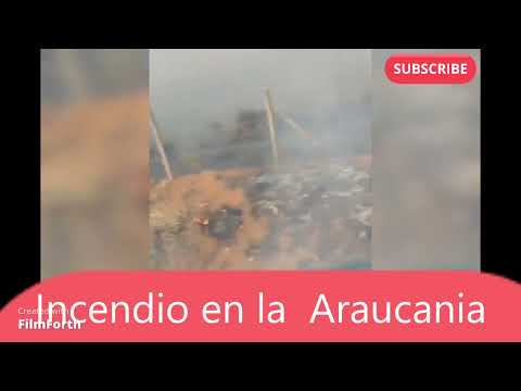 ?? #incendio en la #Araucania y #boric hace la nada para defender al #Pueblo ??