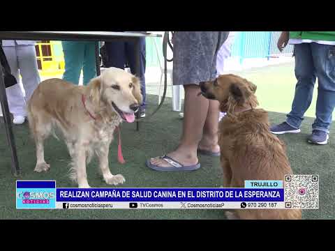 Trujillo: realizan campaña de salud canina en el distrito de La Esperanza