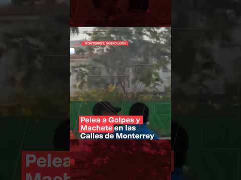 Pelea a golpes y machete en las calles de Monterrey - N+ #Shorts