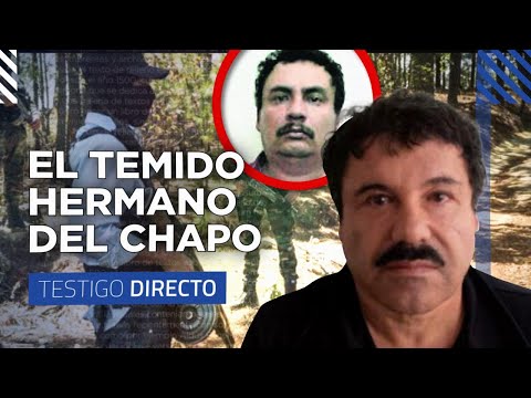 El GUANO: el hermano del Chapo Guzmán a cargo del CARTEL DE SINALOA - Testigo Directo