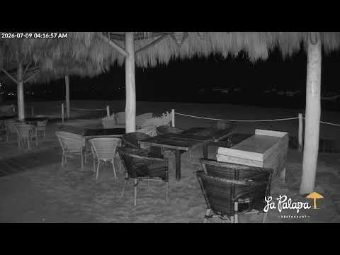 Los Muertos Beach Cam – La Palapa Puerto Vallarta, México 🇲🇽