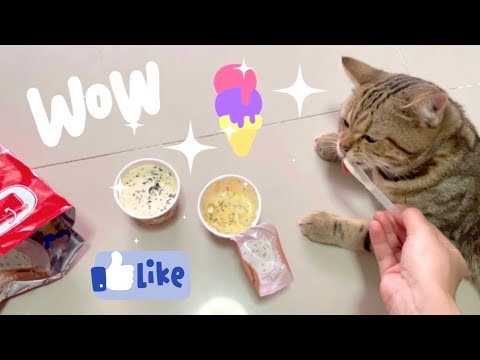 ไอติมของ”เพรา”-|-กระเพรา ไอติมของ”เพรา”-|-กระเพรา