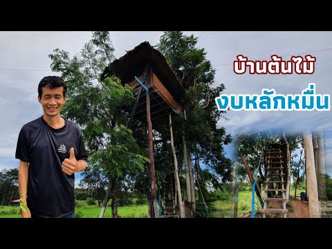 ความฝันของใครหลายคน-บ้านต้นไม้ ความฝันของใครหลายคน-บ้านต้นไม้