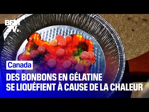 Des bonbons en gélatine se liquéfient à cause des chaleurs extrêmes qui frappent le Canada