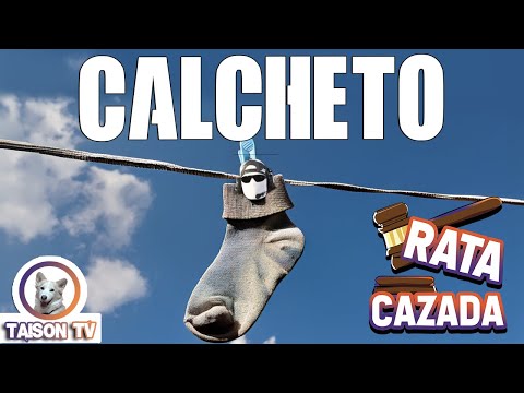 Youtuber Calceto Resulto ser CALCHETO, el Cazador que se escondía tras una IA CAZADO