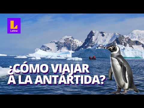 ¿Cómo viajar a la Antártida? Esto es lo que debes saber
