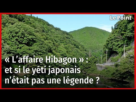 « L’affaire Hibagon » : et si le yéti japonais n’était pas une légende ?