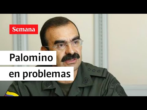 General (r) Palomino perdió round judicial en la Corte Suprema | Semana Noticias