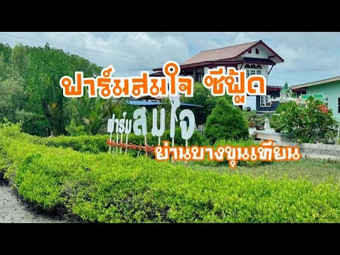 ฟาร์มสมใจซีฟู้ดร้านลับย่านบา