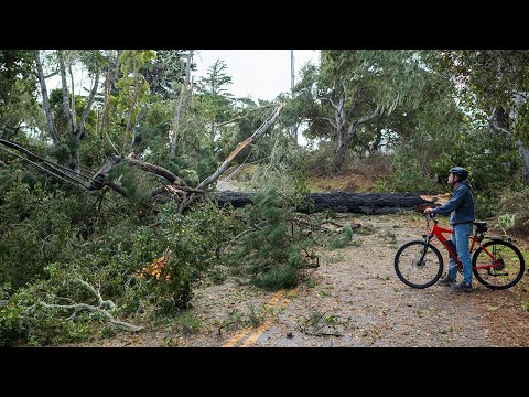 Several injured after rare tornado touches down in northern California