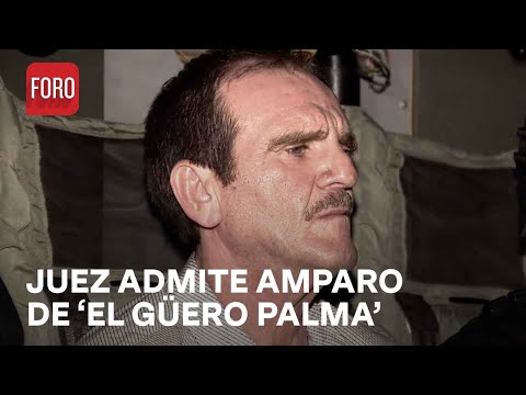 Admiten amparo de El Güero Palma - Las Noticias