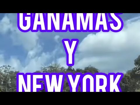 lotería de hoy sábado 21 de septiembre New York y GANAMAS