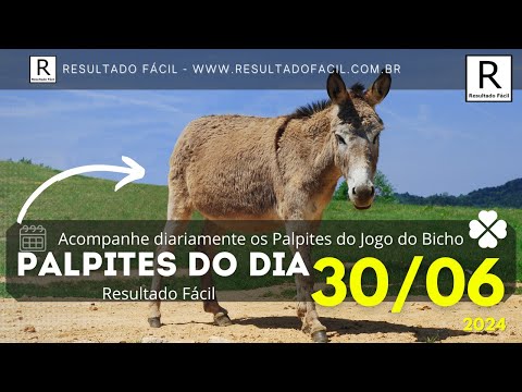 Palpite do dia 30/06/2024 Jogo do Bicho - Resultado Fácil