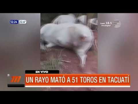 ¡Rayo mató a 51 toros en Tacuatí!
