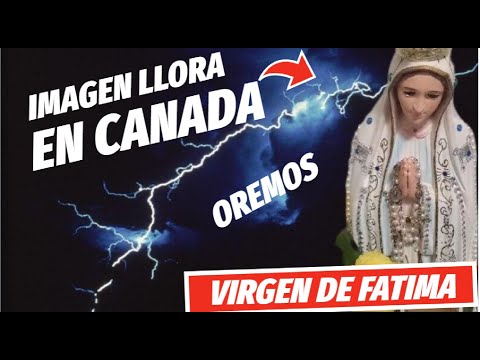 Algo Grande esta por Venir, Advertencia del cielo, Imagen de la Virgen Llora- Mensaje