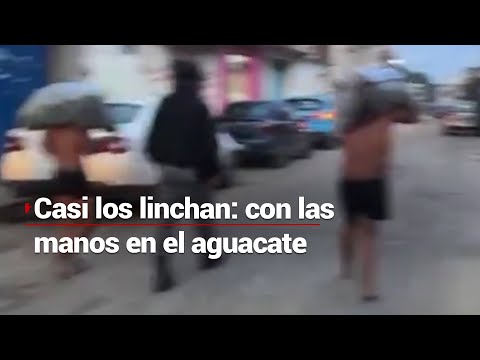 AGARRAN A RATEROS CON TODO Y AGUACATES | Comunidad de Puebla casi los lincha