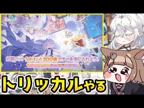 【トリッカル】ハフバが来てるらしい、やる【もちもちほっぺ大作戦】